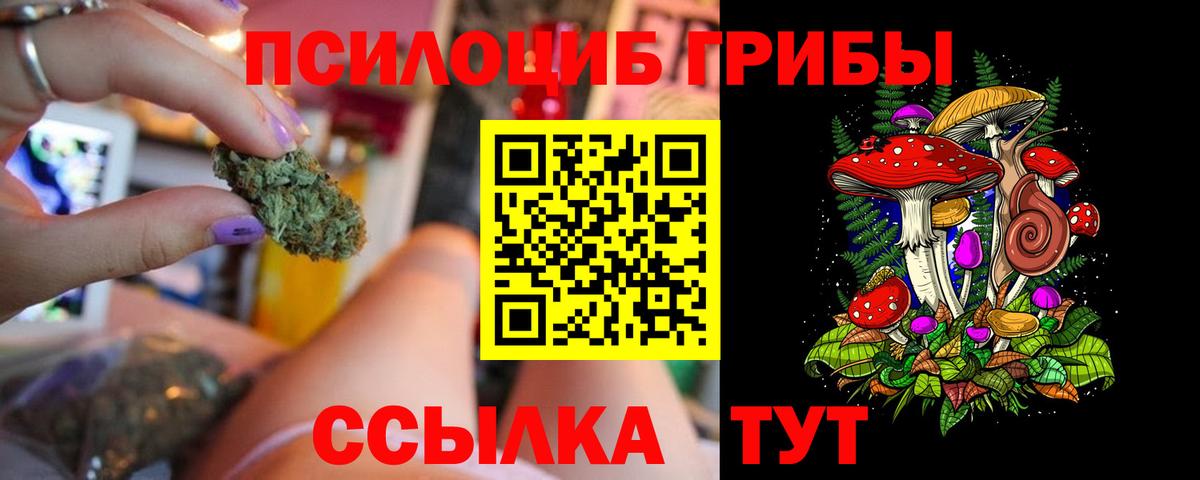 Малоярославец  Галлюциногенные грибы Magic Shrooms  Вход с VPN 